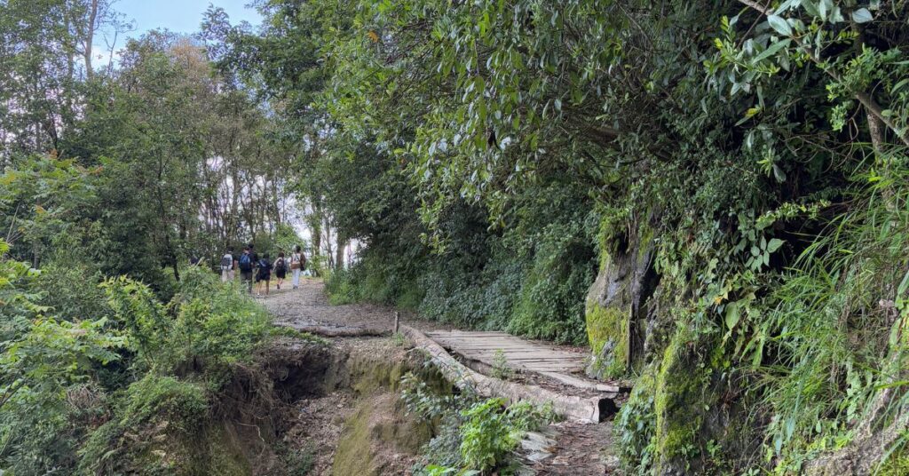 Forest trail inside Shivapuri, a natural place in Kathmandu.