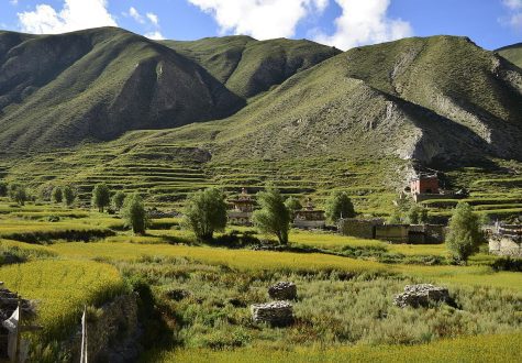 Upper Dolpo Trek