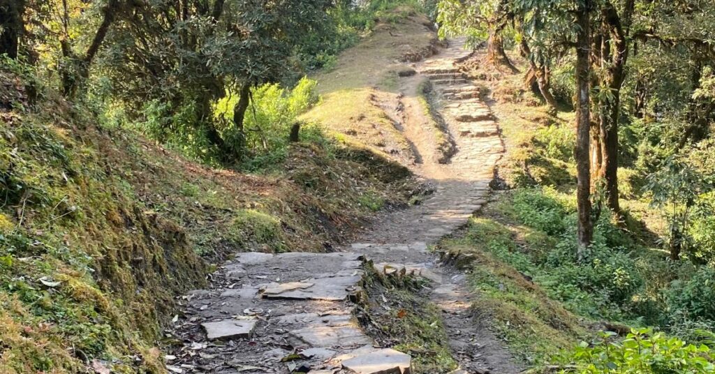 mardi trekking route