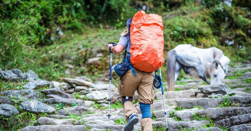 packing essentials for mardi trail