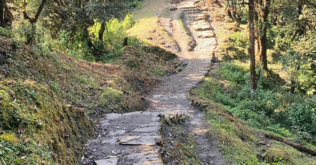 route to mardi trail