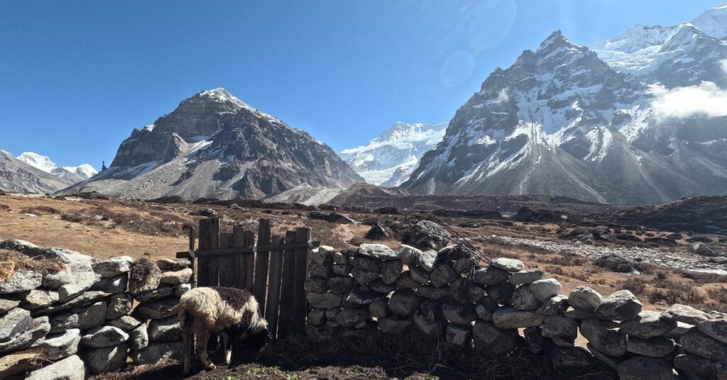 wonderful view from kanchenjunga trek