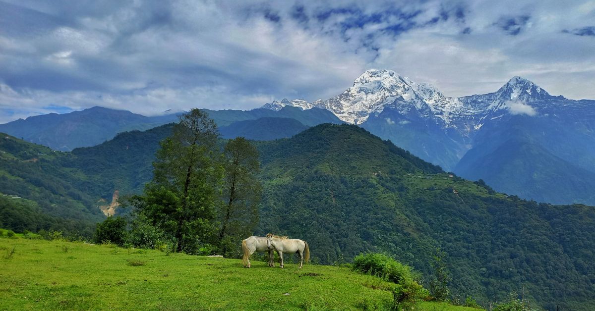 poon hill trek highlights and cost