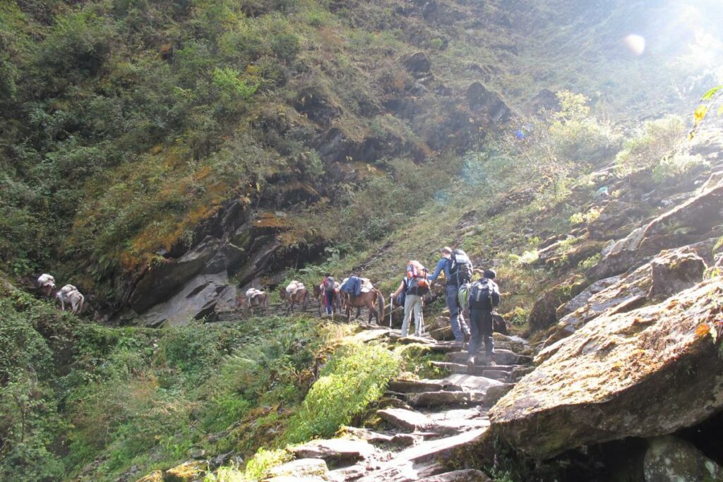 trekking with guide and porter in ebc