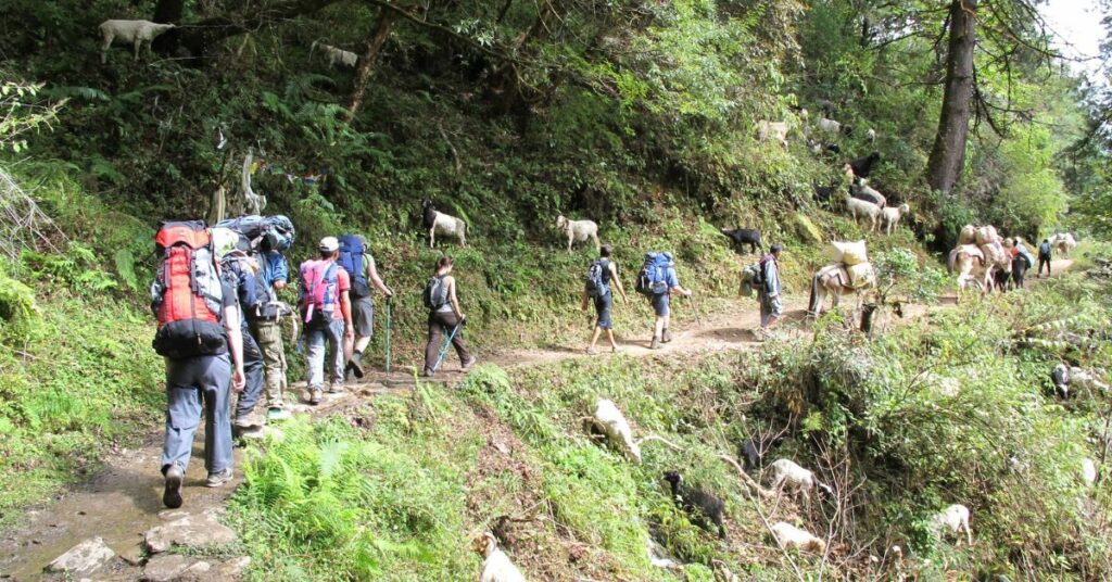 EBC Trail with Mountain Routes