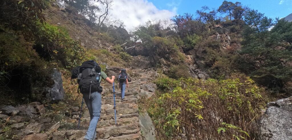 challenging uphill path on kanchenjunga trek route