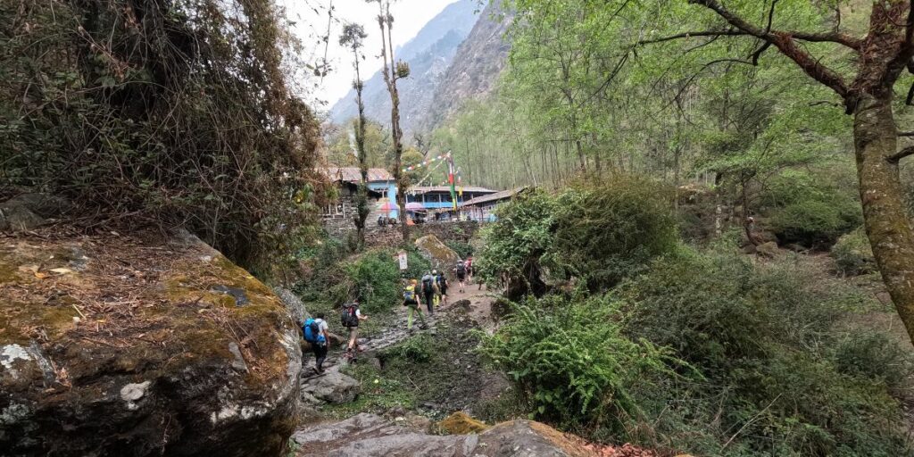 mountain group trek through moderate Nepal treks