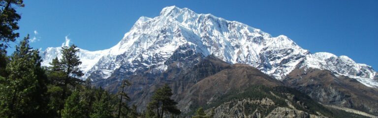 towering annapurna peak above forested trekking path