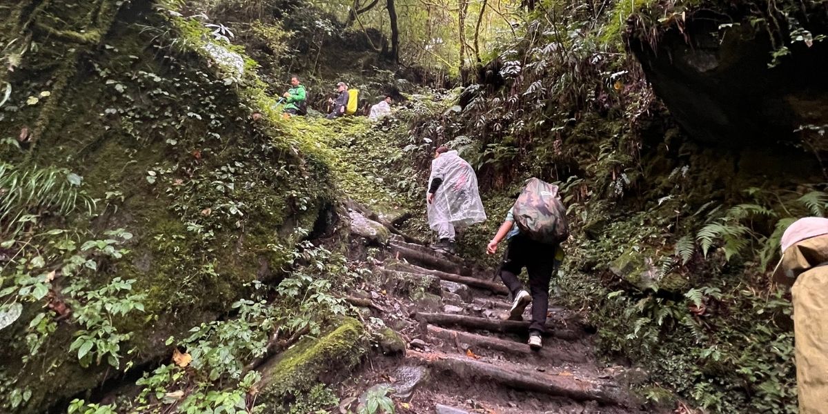 Hikers venture through lush forest on Annapurna trek