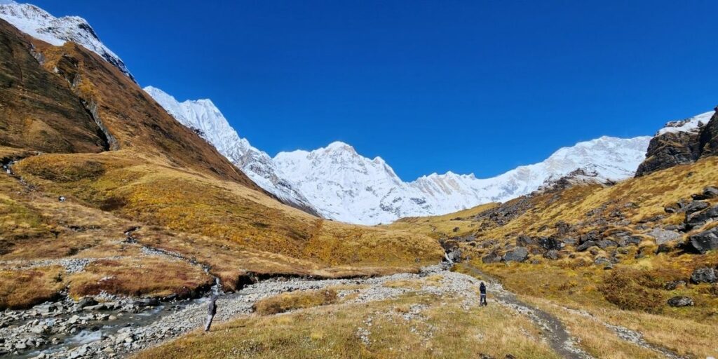 Snowy Annapurna peaks rise from golden valley
