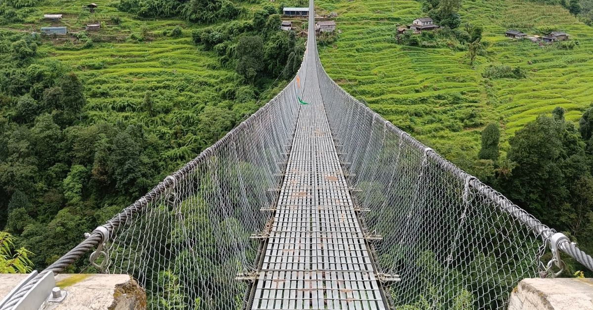 Forest trail from Sinwa leading to Jhinu Danda at Day 5 of ABC trek