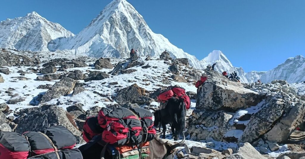 Group EBC Trekking team with porters and mules in Everest region