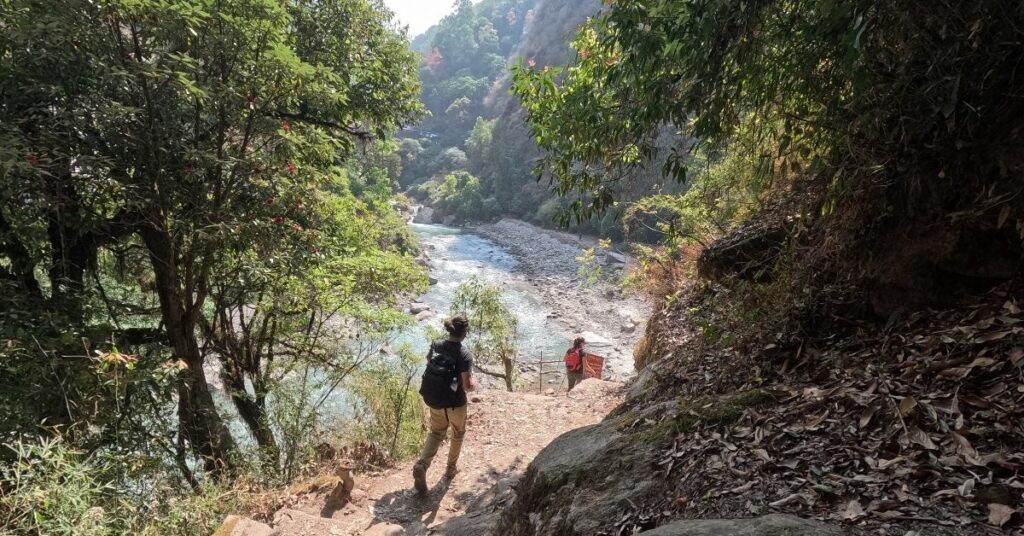Langtang trekking route along riverside forest trail