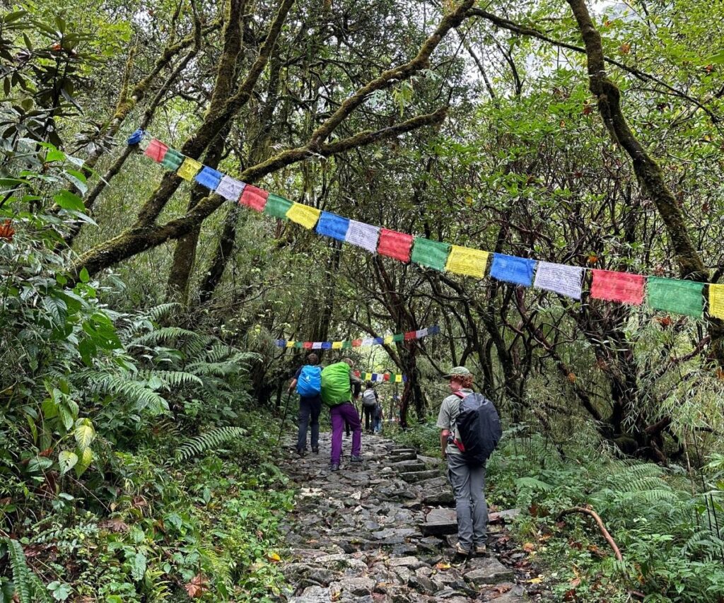 Hikers traveling in Nepal, walking through a mountain valley with lush green slopes