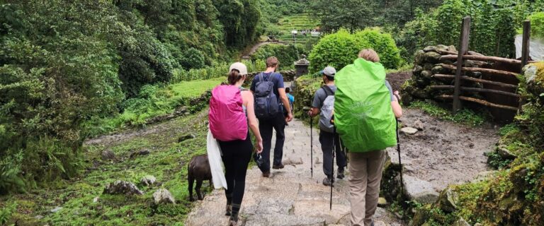 Hikers walking down a mountain path in Nepal with full gear