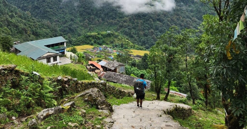 Solo trekker walking through lush village trail on Annapurna Base Camp trek in autumn
