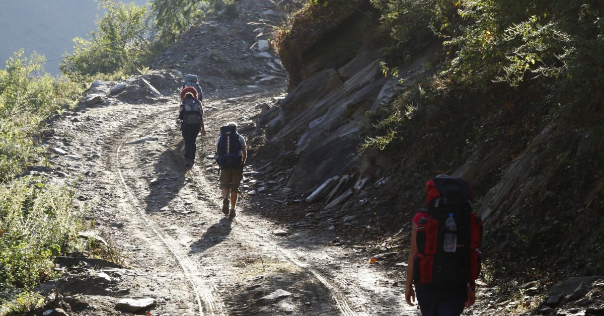 journey to tadapani on eleventh day of annapurna circuit trek