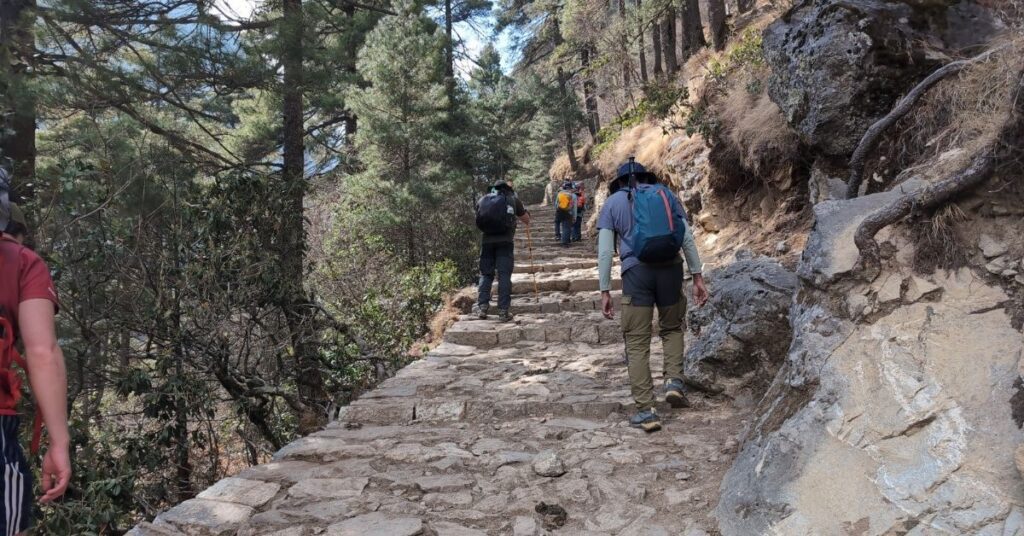 Climbing stone steps in pine forest on the EBC trek with sturdy hiking boot