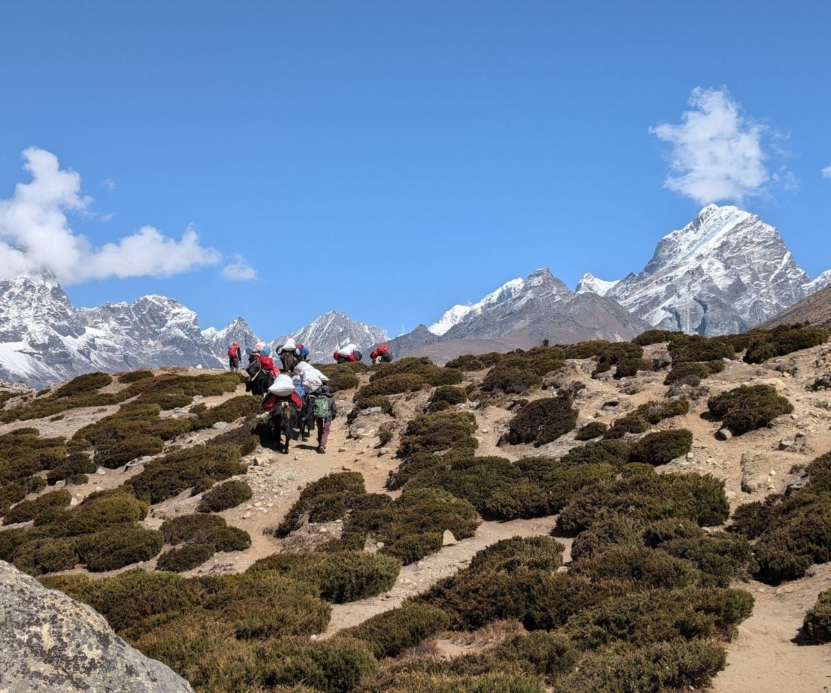 Porters carrying loads along the Everest trail with snow-capped peaks in the background,