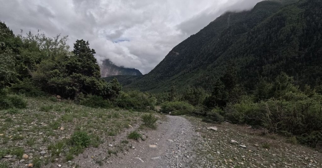 Scenic trekking trail in Nepal with green hills, rocky path, and cloudy mountain backdrop