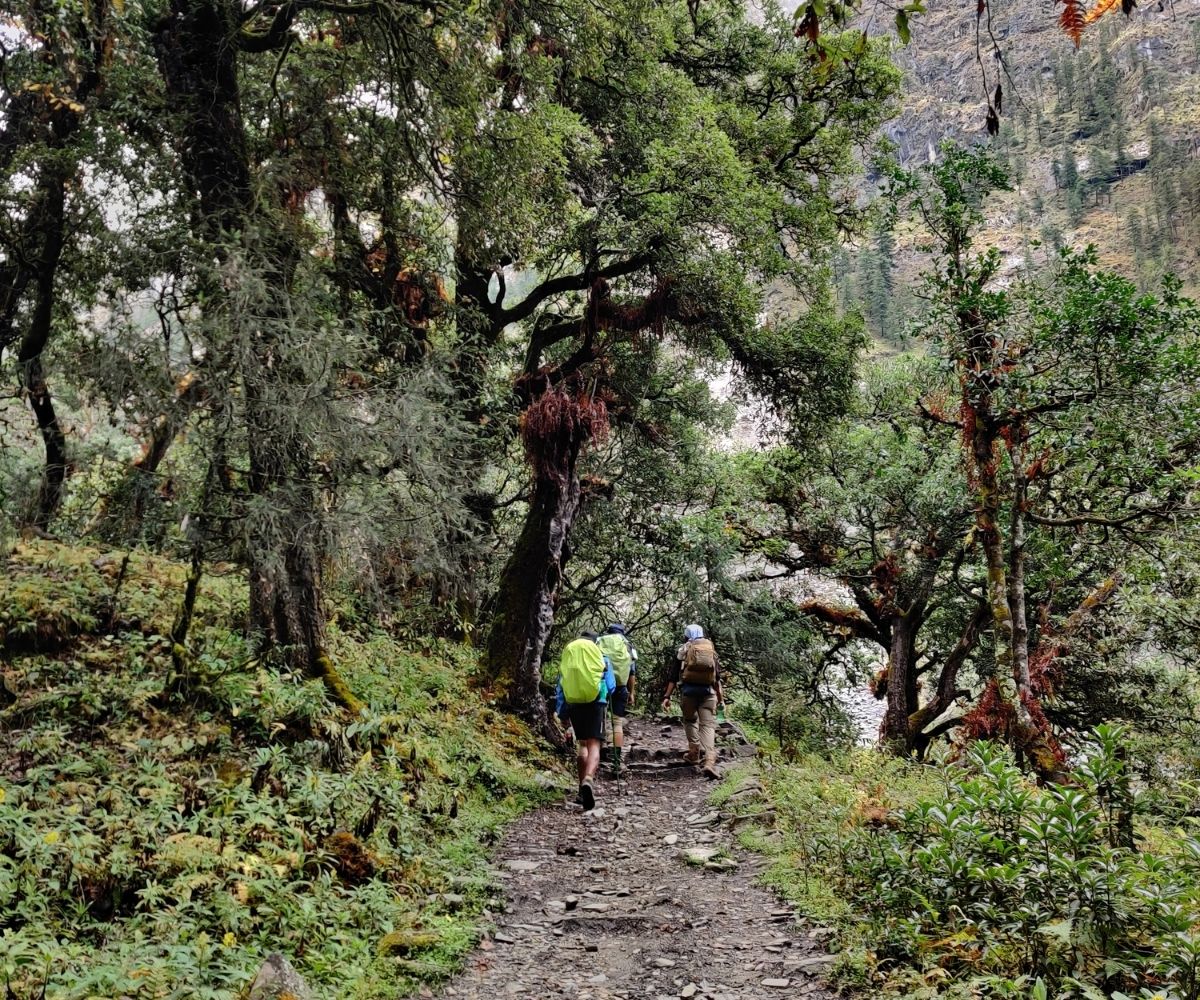 Walking through lush forest trails from Jagat to Deng on the Manaslu Circuit