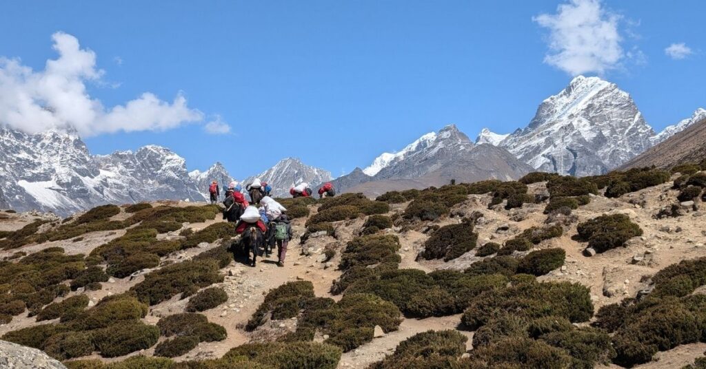 himalayan trekking with sherpa guide and porters
