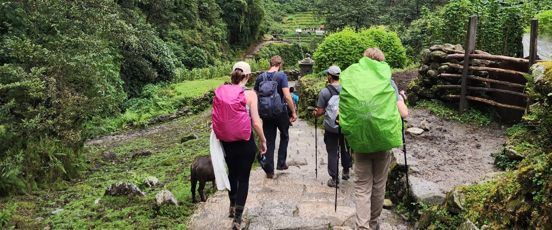 Group trekking through Annapurna trek path in Nepal
