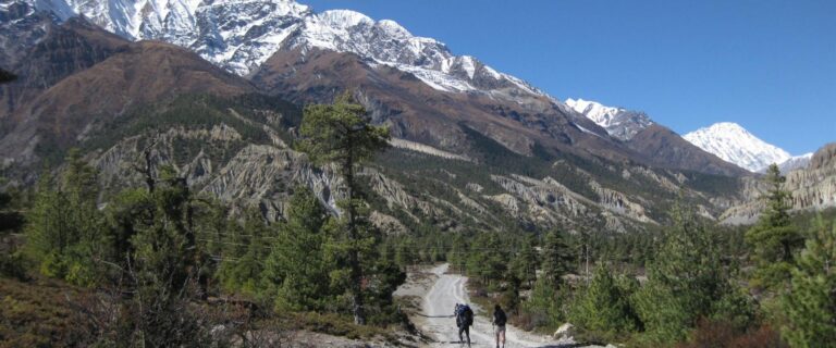 trekkers walking along a mountain trail in the Annapurna region